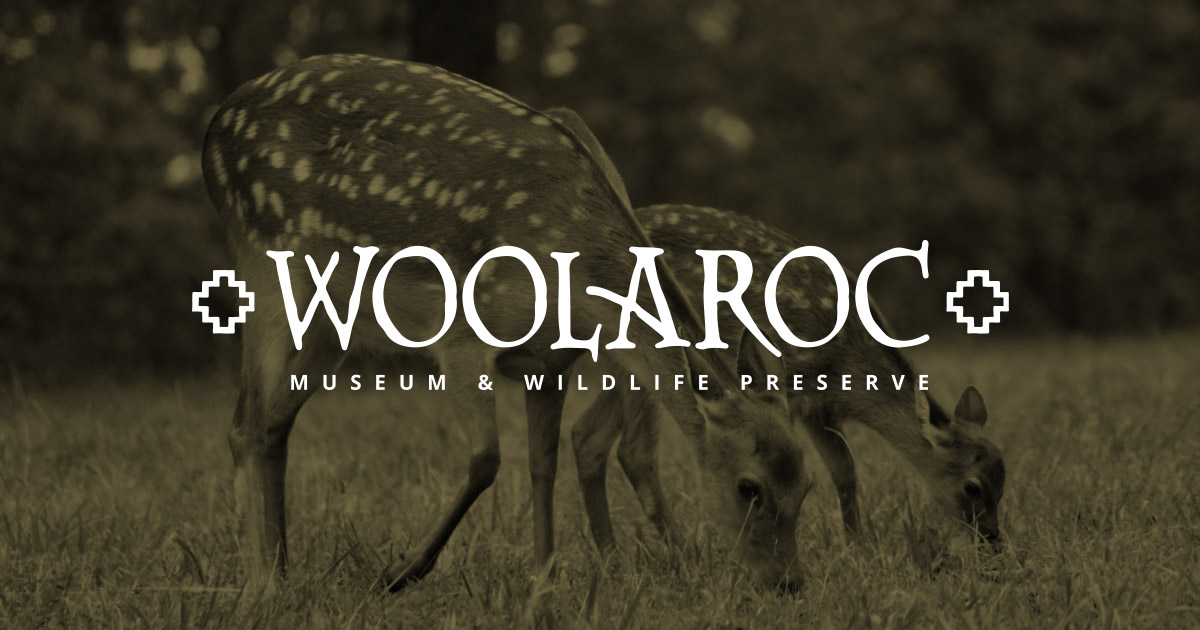 Partner Membership | Become A Member | woolaroc.org