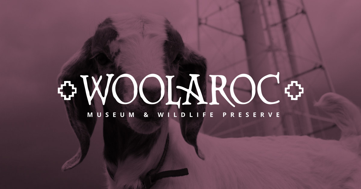 Associate Sponsor Membership | Become A Member | woolaroc.org